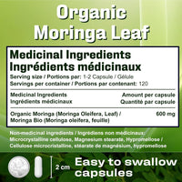 Organic Moringa